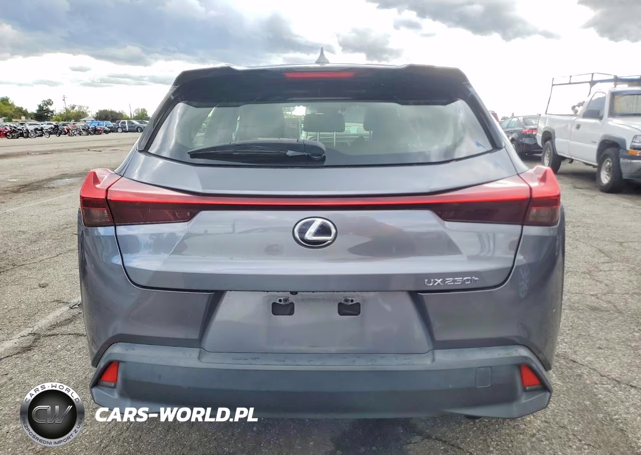 2020 Lexus Ux 250H VIN:JTHX9JBH2L2033375 - 6
