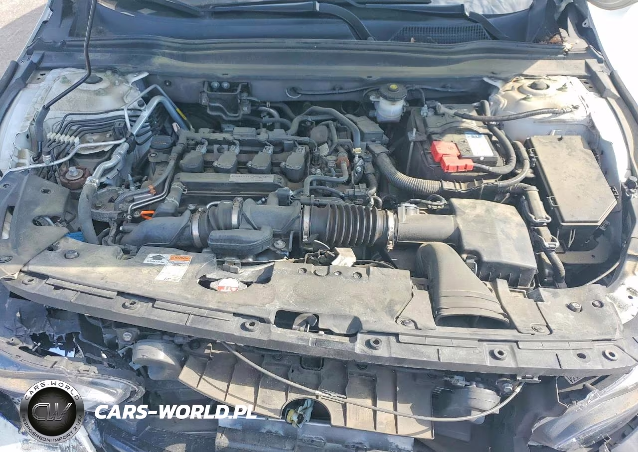 2019 Honda Accord Ex VIN:1HGCV1F40KA096029 - 11