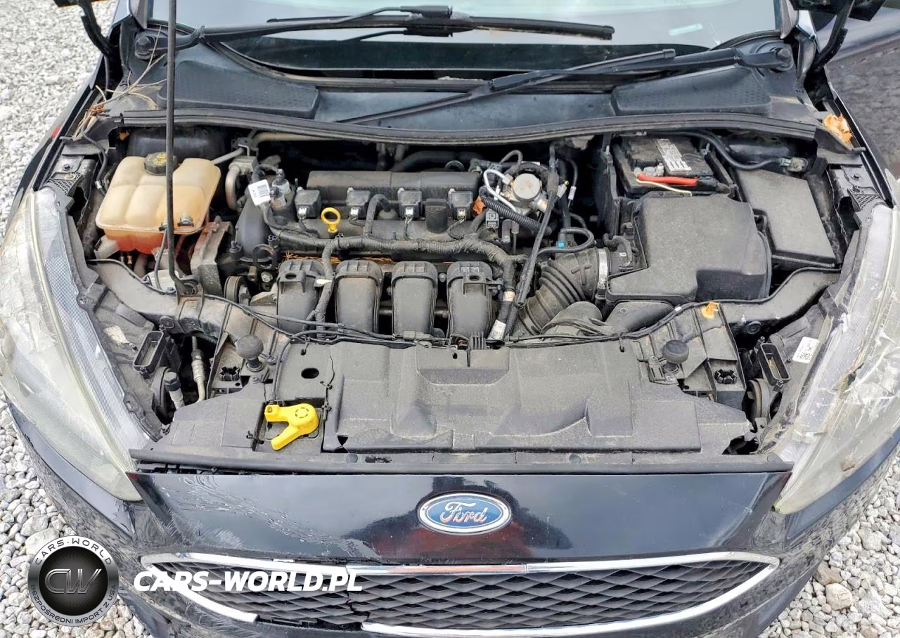 2016 Ford Focus Se VIN:1FADP3K25GL346041 - 11
