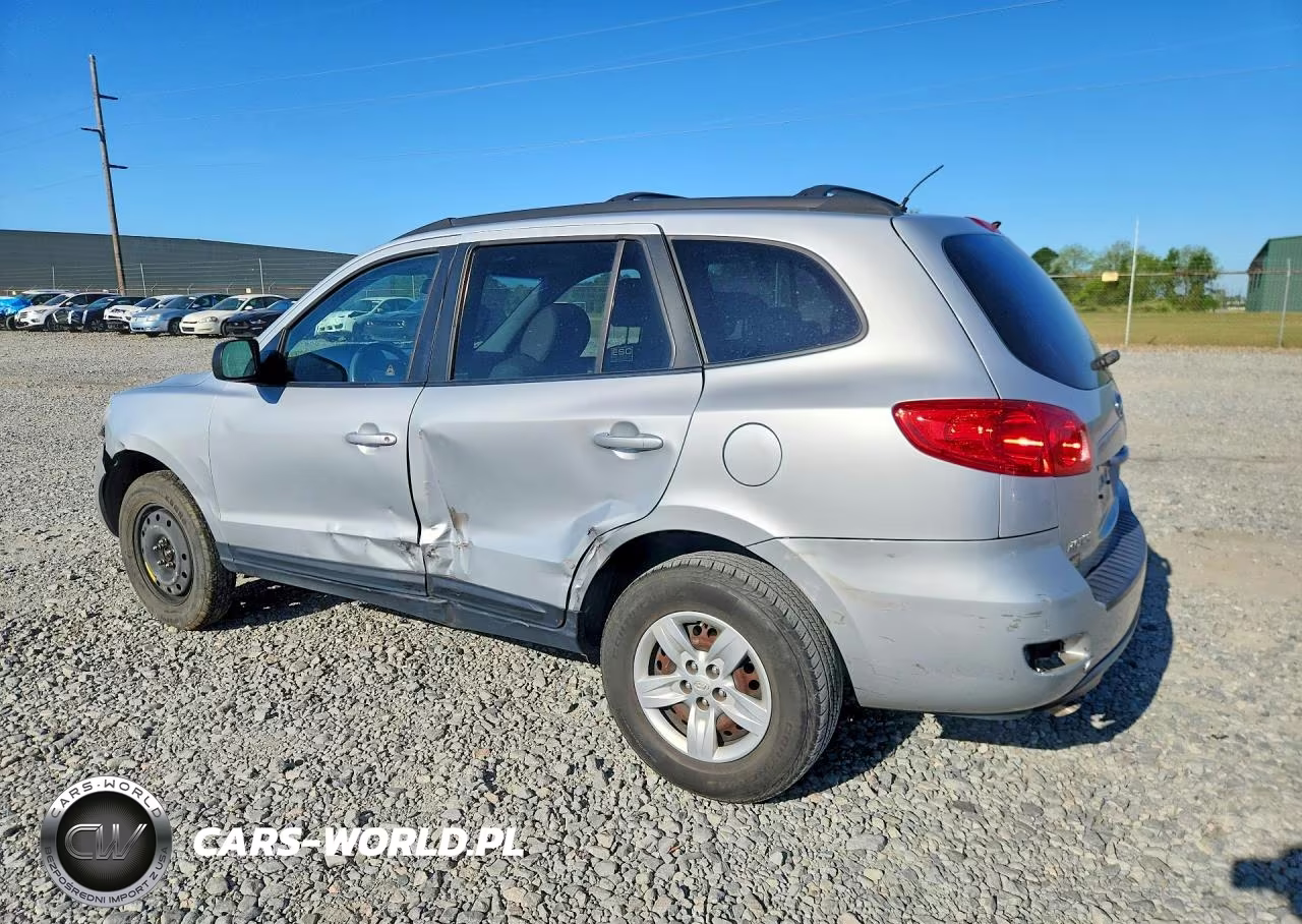 2009 Hyundai Santa Fe Gls VIN:5NMSG13D09H300062 - 2
