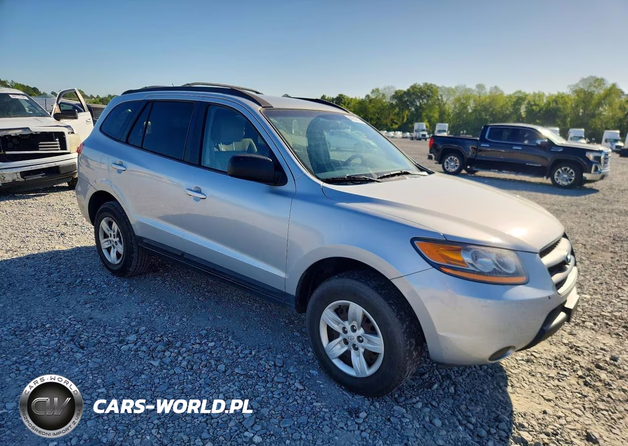 2009 Hyundai Santa Fe Gls VIN:5NMSG13D09H300062 - 4