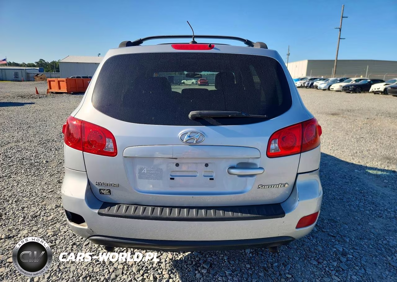 2009 Hyundai Santa Fe Gls VIN:5NMSG13D09H300062 - 6