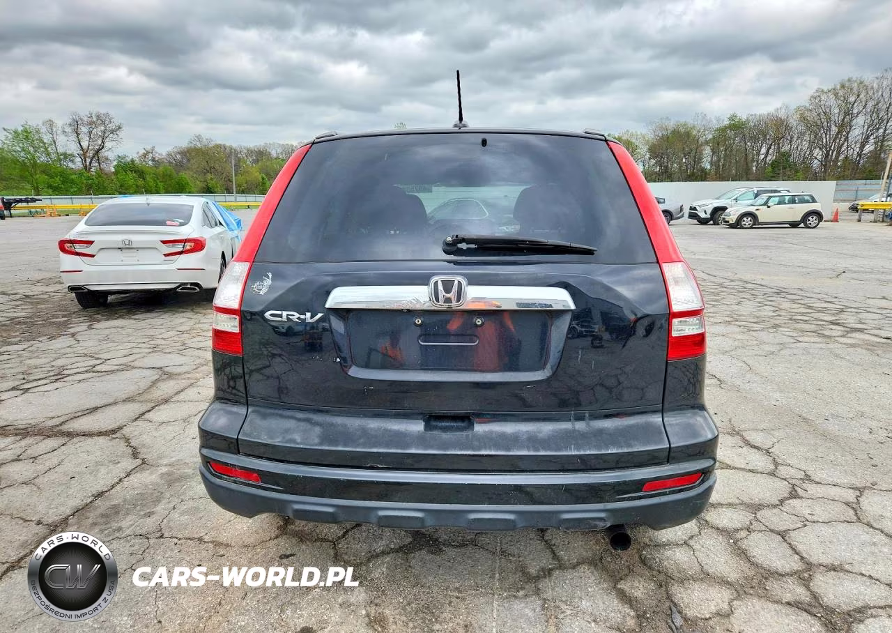 2010 Honda Cr-V Exl VIN:5J6RE3H74AL005367 - 6