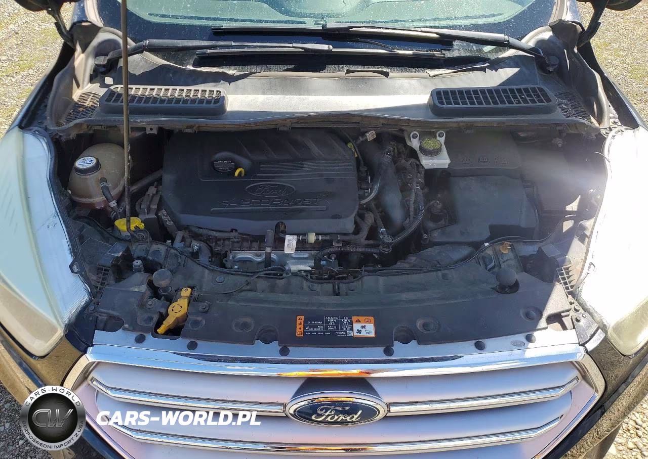 2017 Ford Escape Se VIN:1FMCU0GD2HUC80773 - 11