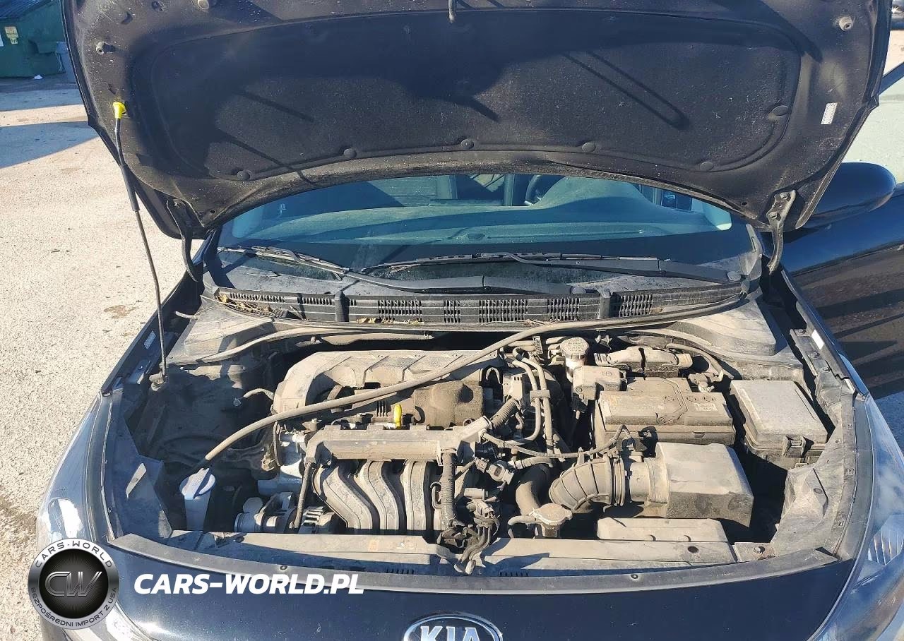 2020 Kia Rio 5-Door S VIN:3KPA25AD3LE333821 - 11
