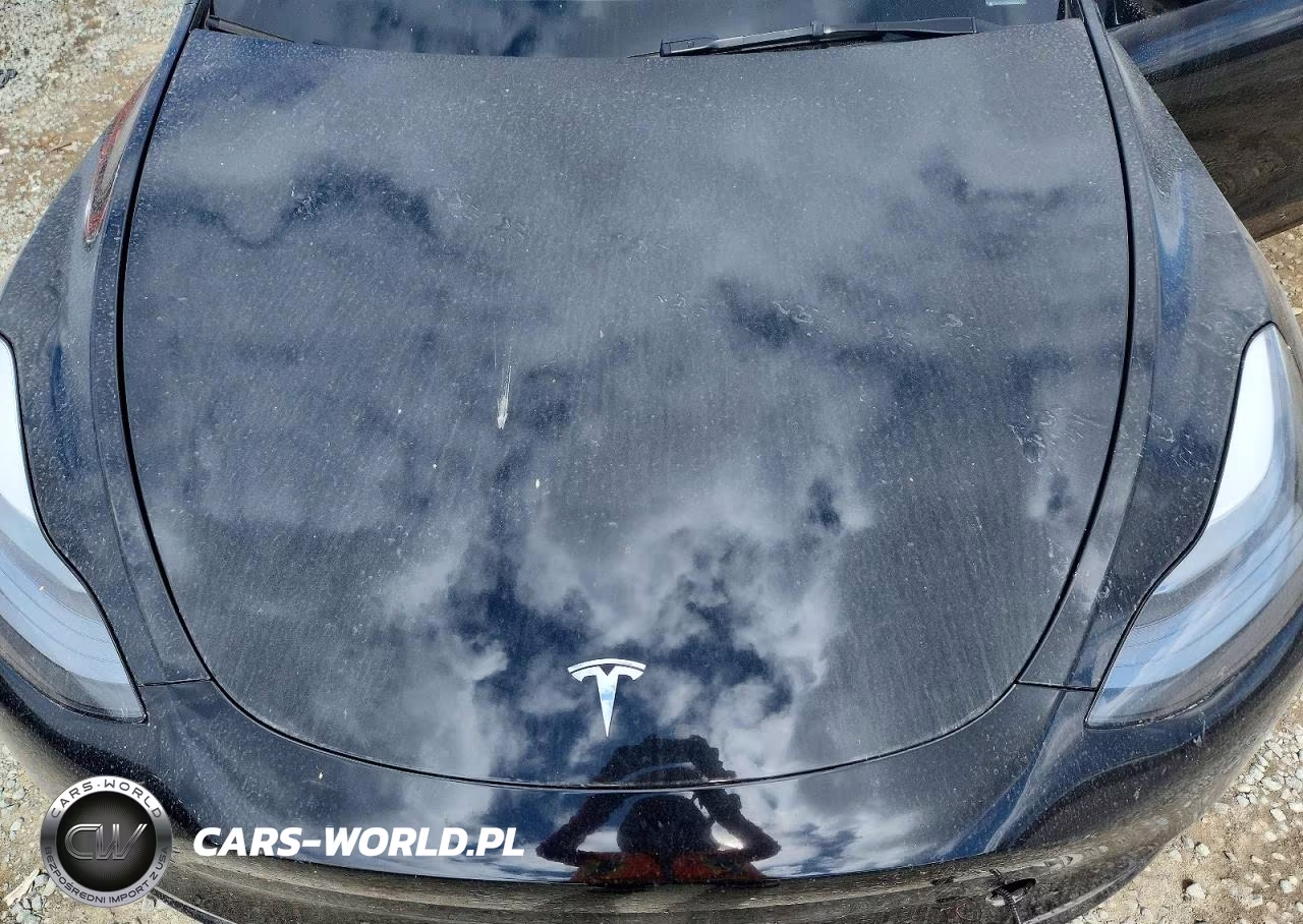 2025 Tesla Model Y VIN:7SAYGAEE8SF259710 - 11