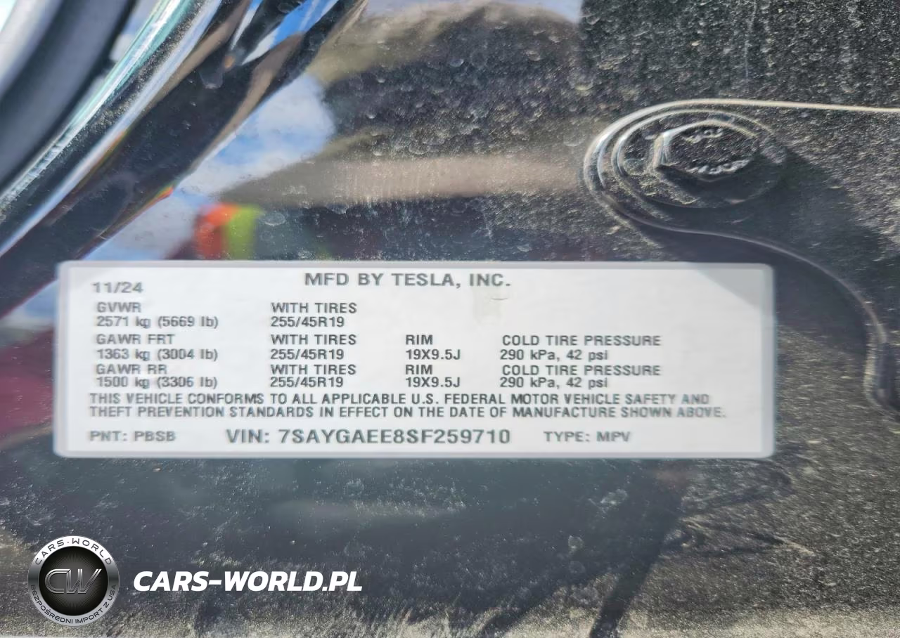 2025 Tesla Model Y VIN:7SAYGAEE8SF259710 - 12