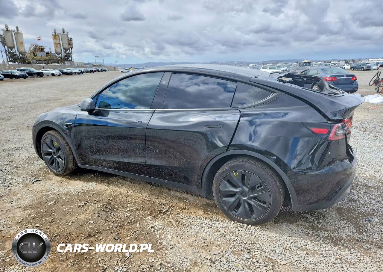 2025 Tesla Model Y VIN:7SAYGAEE8SF259710 - 2