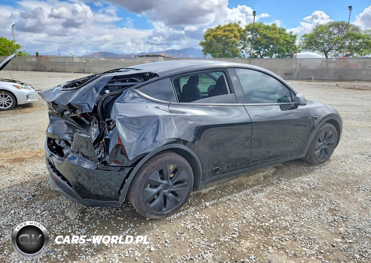 2025 Tesla Model Y VIN:7SAYGAEE8SF259710 - 3