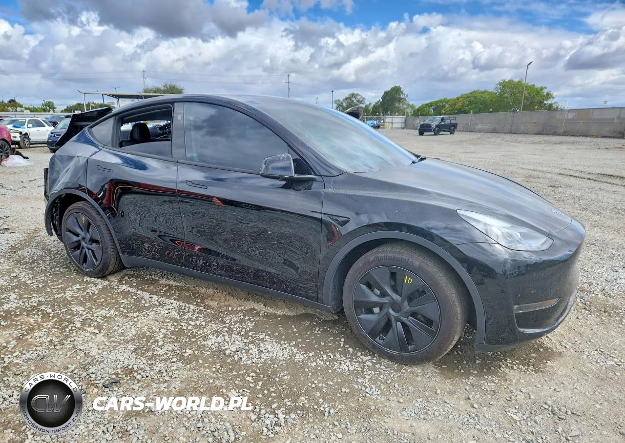 2025 Tesla Model Y VIN:7SAYGAEE8SF259710 - 4