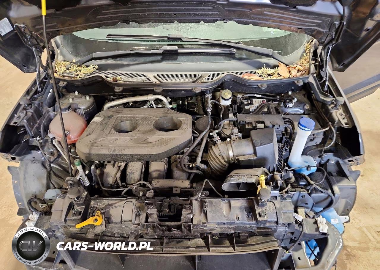 2020 Ford Ecosport Ses VIN:MAJ6S3JL2LC364394 - 12