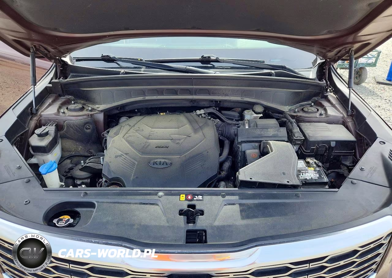 2020 Kia Telluride S VIN:5XYP64HC9LG025464 - 12