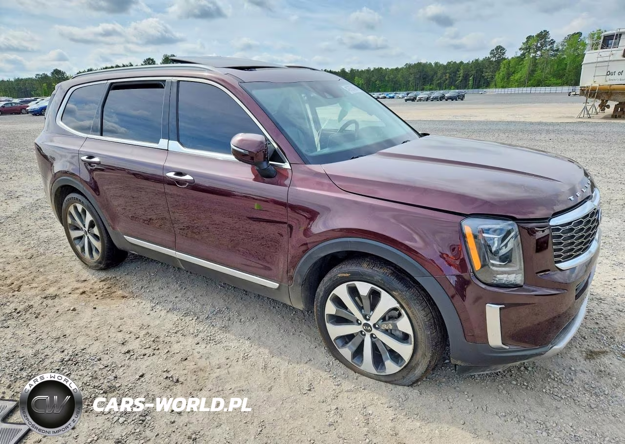 2020 Kia Telluride S VIN:5XYP64HC9LG025464 - 4