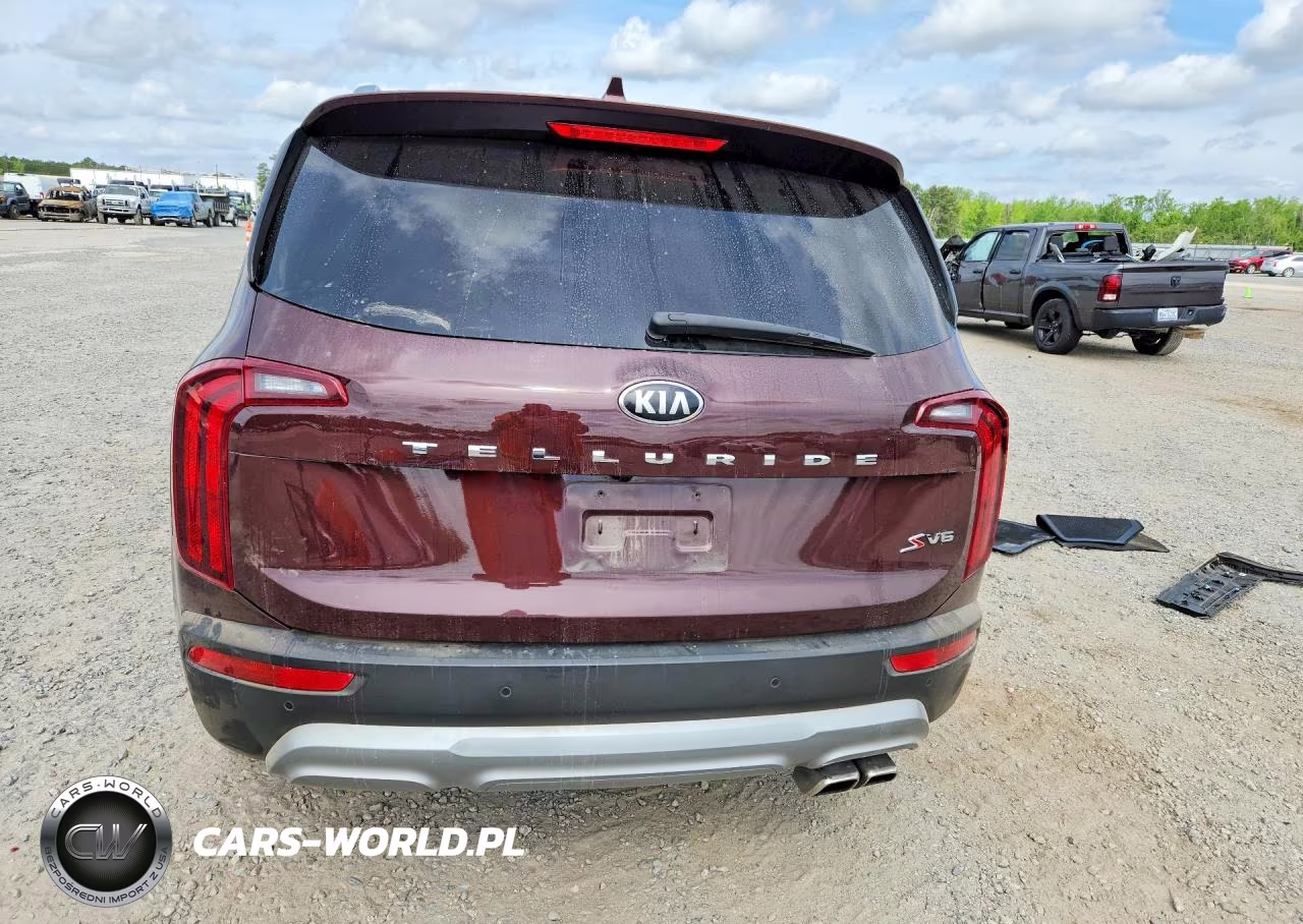 2020 Kia Telluride S VIN:5XYP64HC9LG025464 - 6