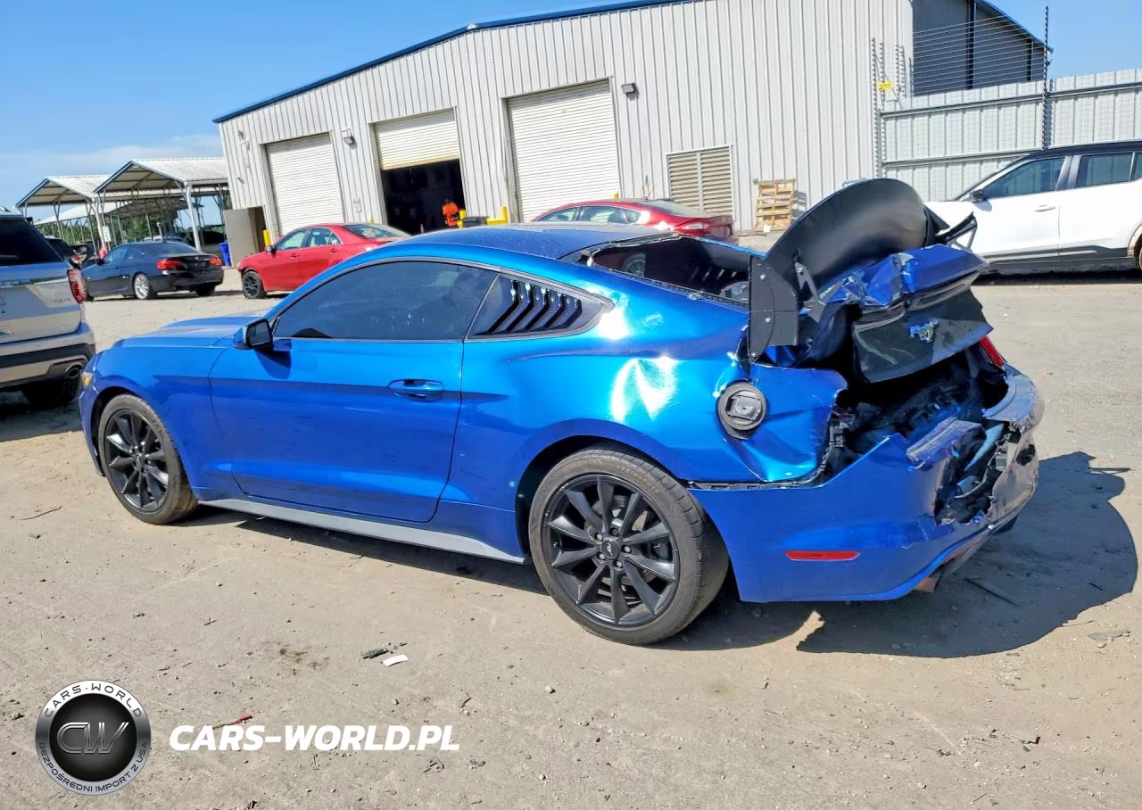 2017 Ford Mustang VIN:1FA6P8TH8H5257126 - 2