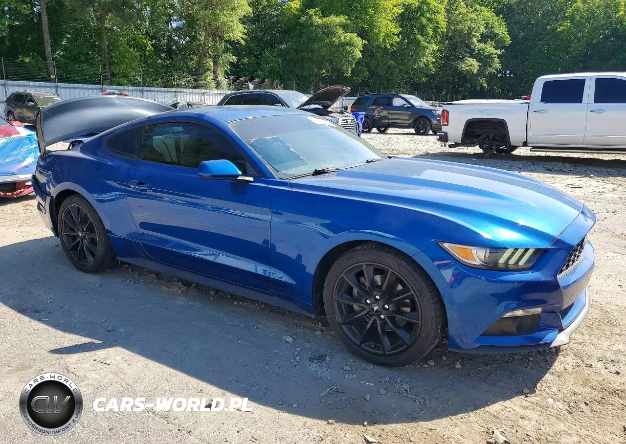 2017 Ford Mustang VIN:1FA6P8TH8H5257126 - 4