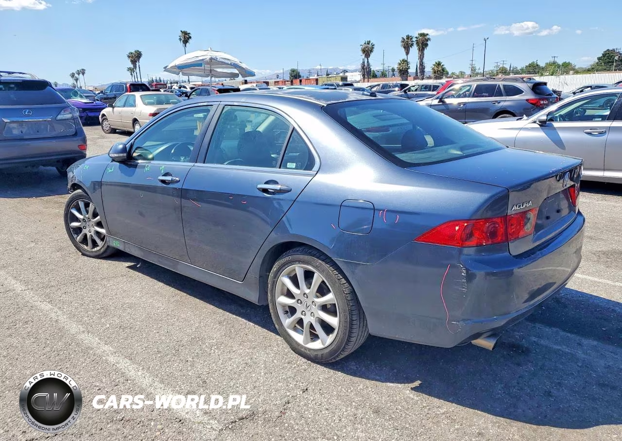 2006 Acura Tsx VIN:JH4CL96926C033005 - 2