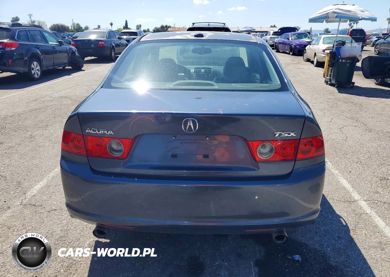 2006 Acura Tsx VIN:JH4CL96926C033005 - 6