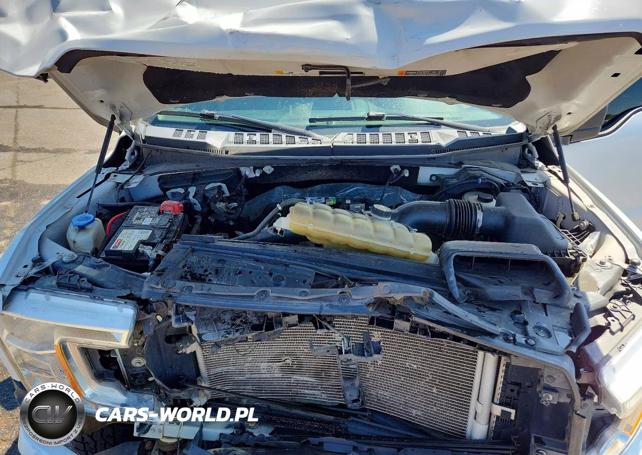 2019 Ford F150 Supercrew VIN:1FTEW1EP7KFD39290 - 11
