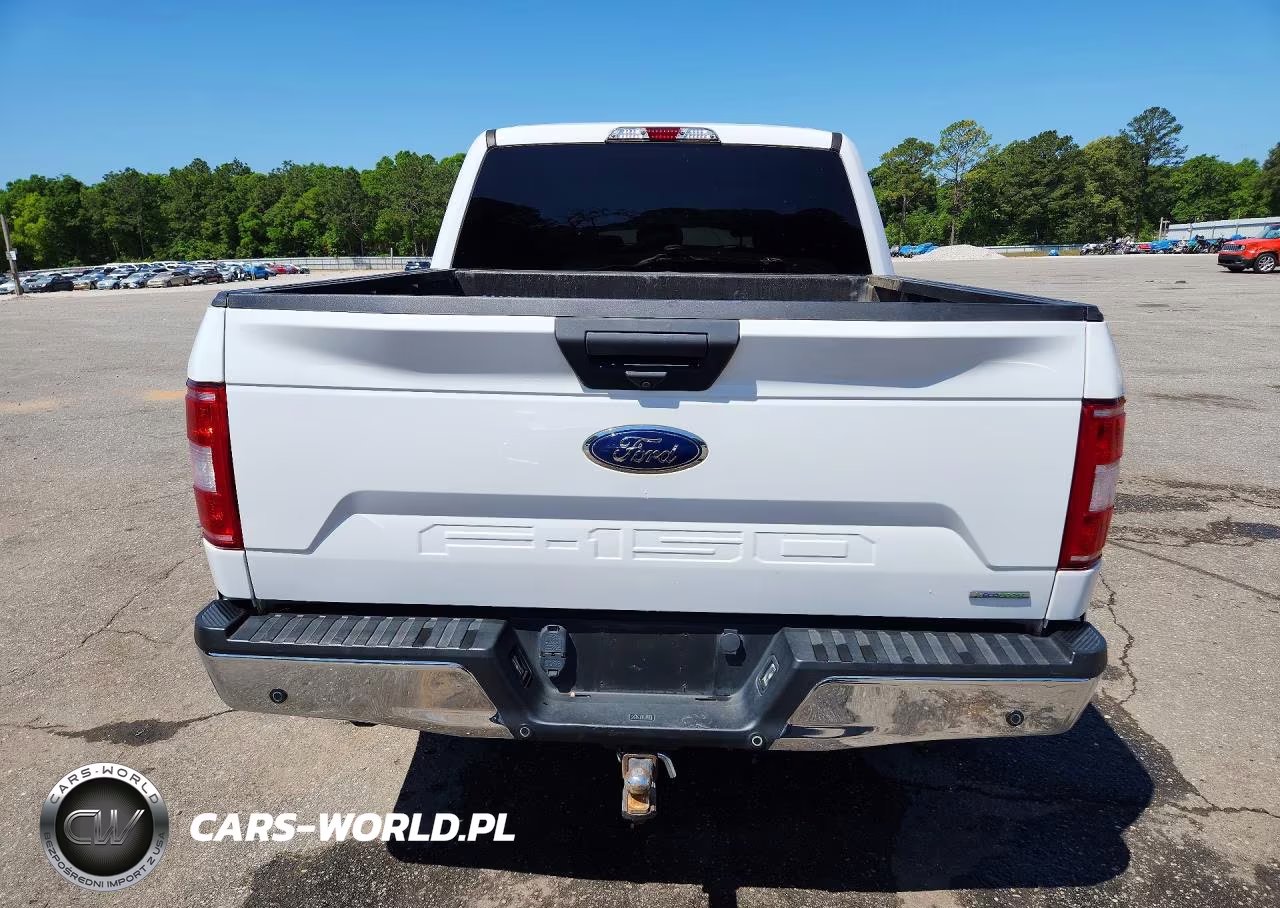 2019 Ford F150 Supercrew VIN:1FTEW1EP7KFD39290 - 6