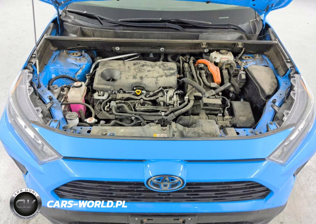2019 Toyota Rav4 Le VIN:JTMLWRFV1KD033992 - 12