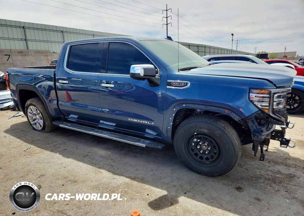 2025 GMC Sierra K1500 Denali VIN:1GTUUGED9SZ181009 - 4
