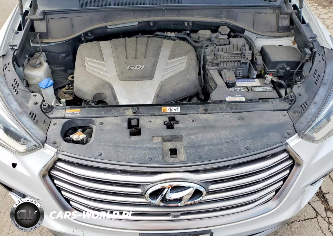 2019 Hyundai Santa Fe Xl Limited Ultimate VIN:KM8SRDHF4KU304311 - 12