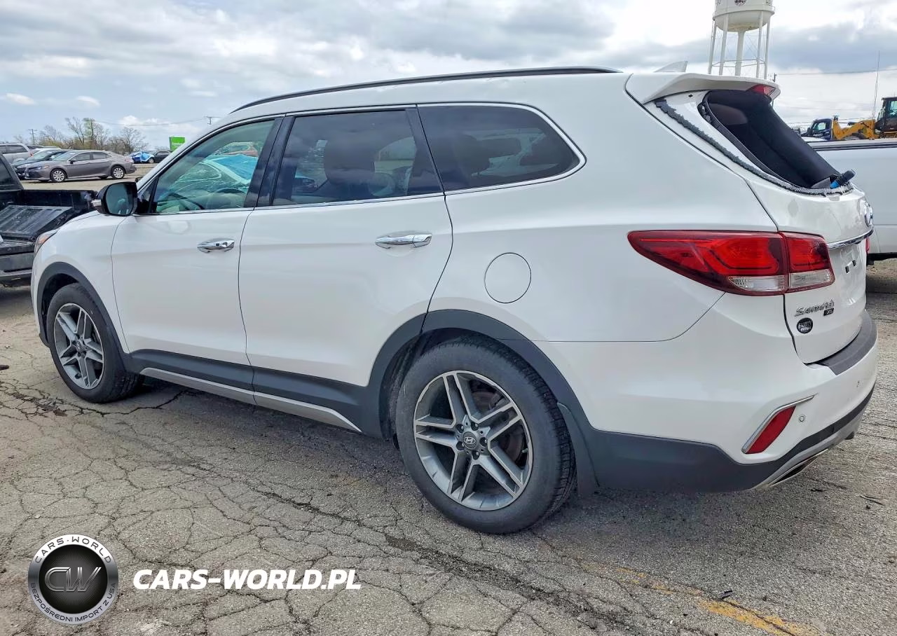 2019 Hyundai Santa Fe Xl Limited Ultimate VIN:KM8SRDHF4KU304311 - 2