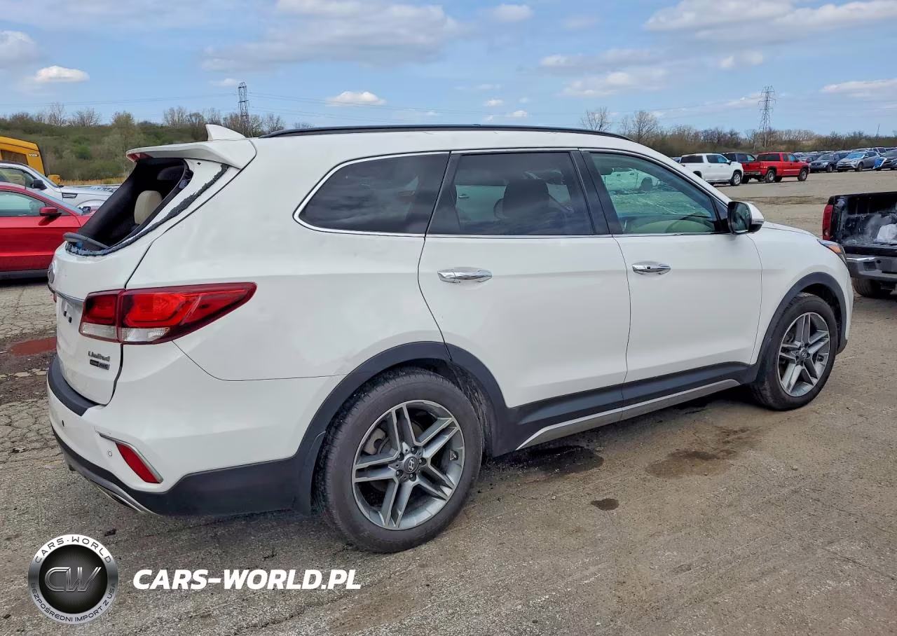2019 Hyundai Santa Fe Xl Limited Ultimate VIN:KM8SRDHF4KU304311 - 3