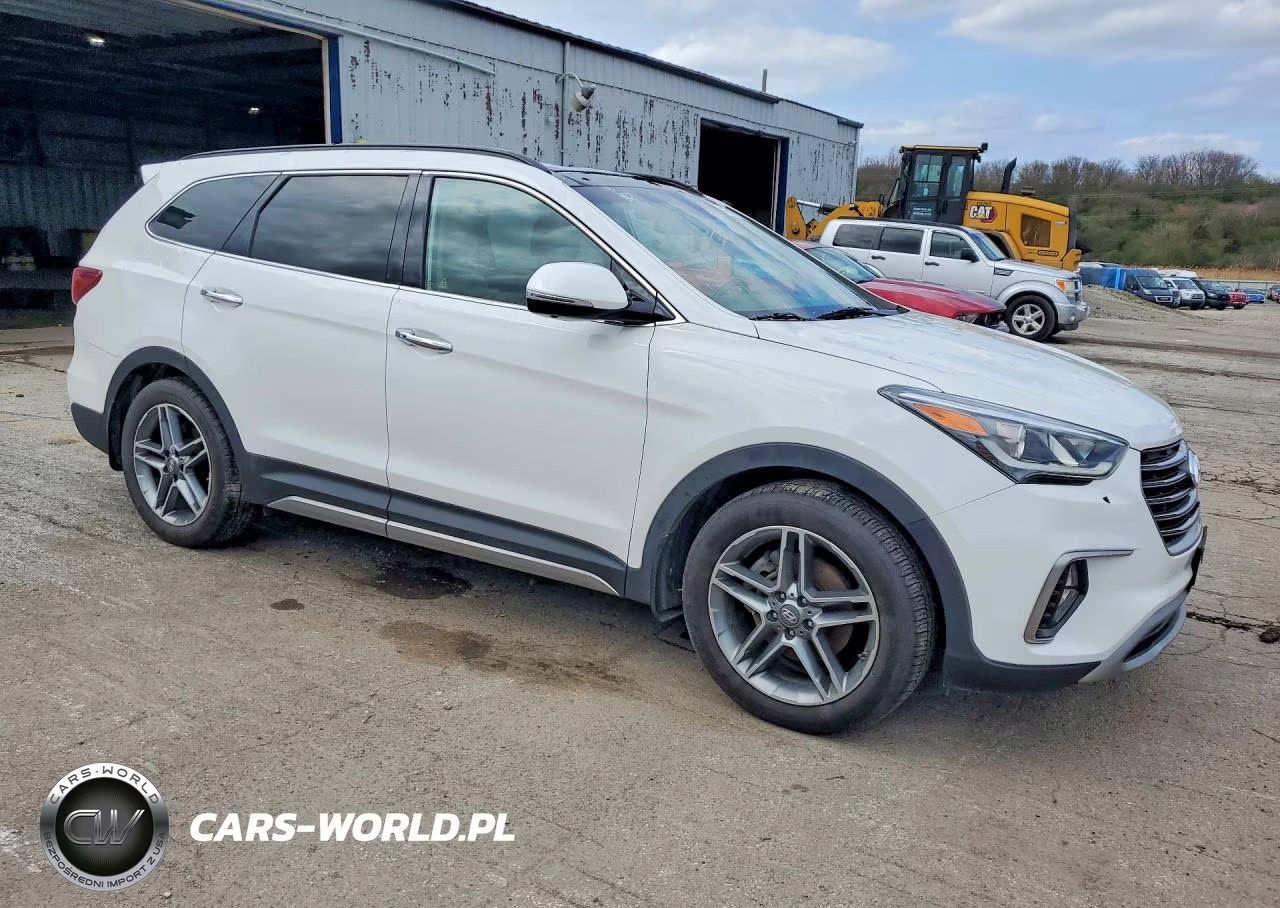 2019 Hyundai Santa Fe Xl Limited Ultimate VIN:KM8SRDHF4KU304311 - 4