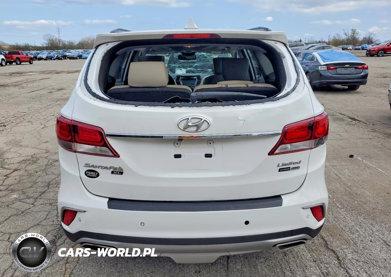 2019 Hyundai Santa Fe Xl Limited Ultimate VIN:KM8SRDHF4KU304311 - 6