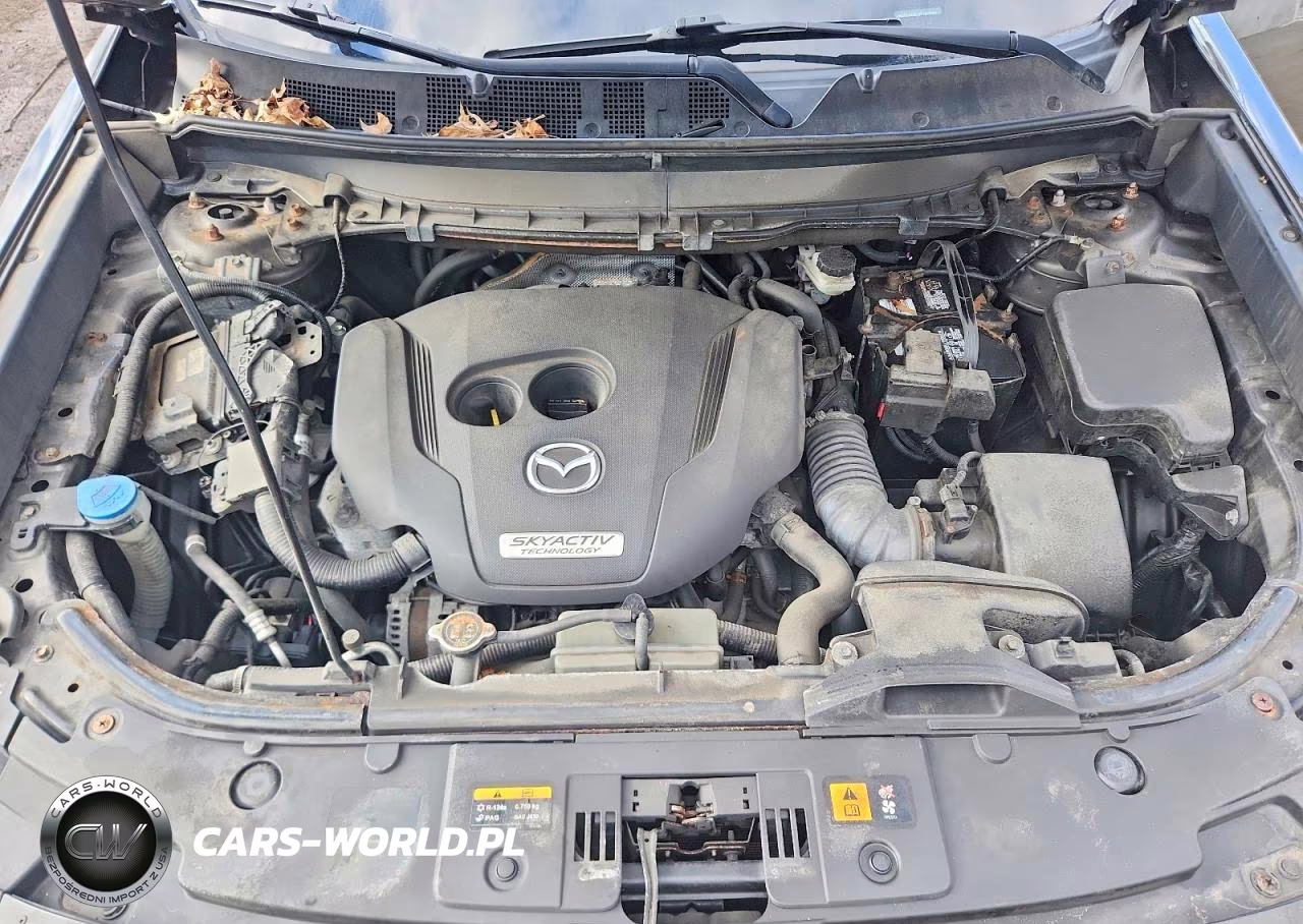 2016 Mazda Cx-9 Touring VIN:JM3TCBCY1G0102491 - 12