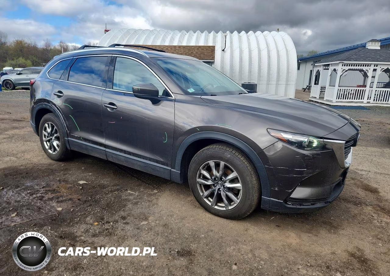2016 Mazda Cx-9 Touring VIN:JM3TCBCY1G0102491 - 4