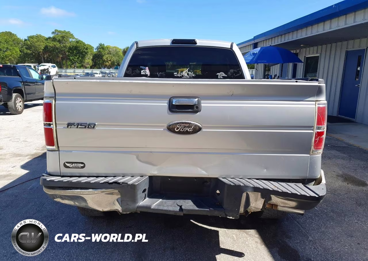 2009 Ford F150 Super Cab VIN:1FTRX12819FA40495 - 6
