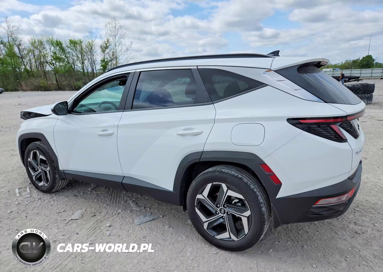 2024 Hyundai Tucson Sel VIN:5NMJFCDE8RH406194 - 2