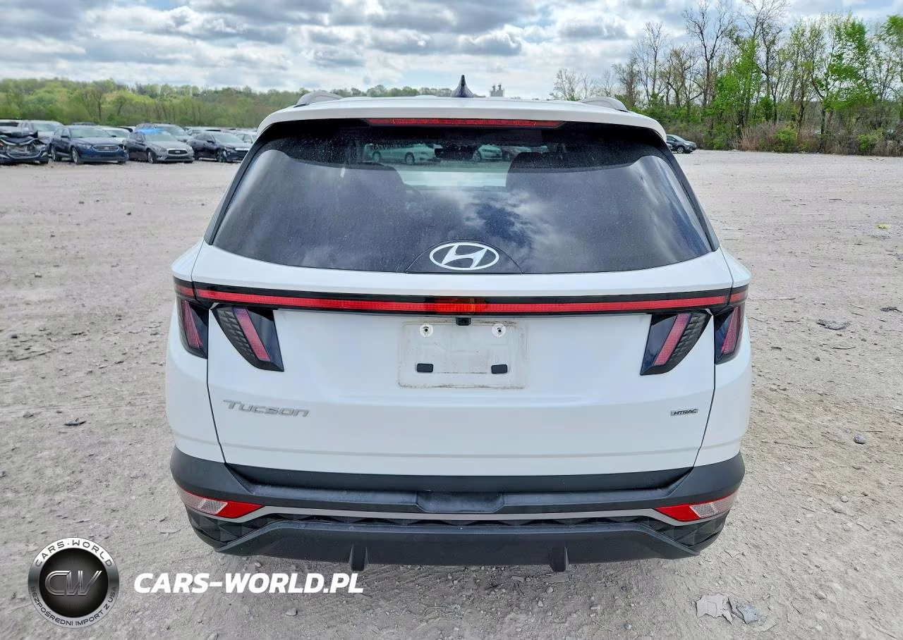 2024 Hyundai Tucson Sel VIN:5NMJFCDE8RH406194 - 6
