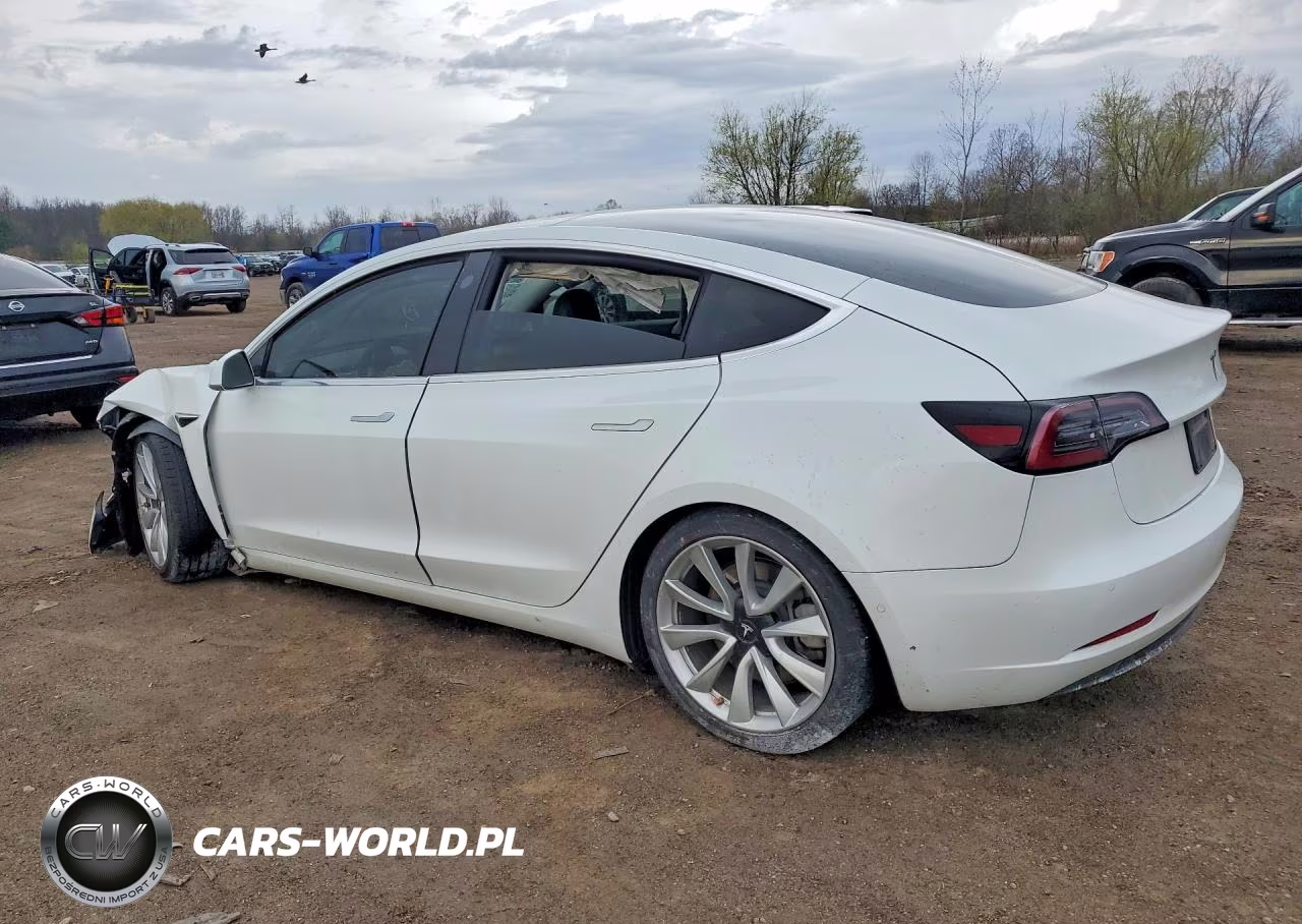 2020 Tesla Model 3 VIN:5YJ3E1EA3LF793080 - 2