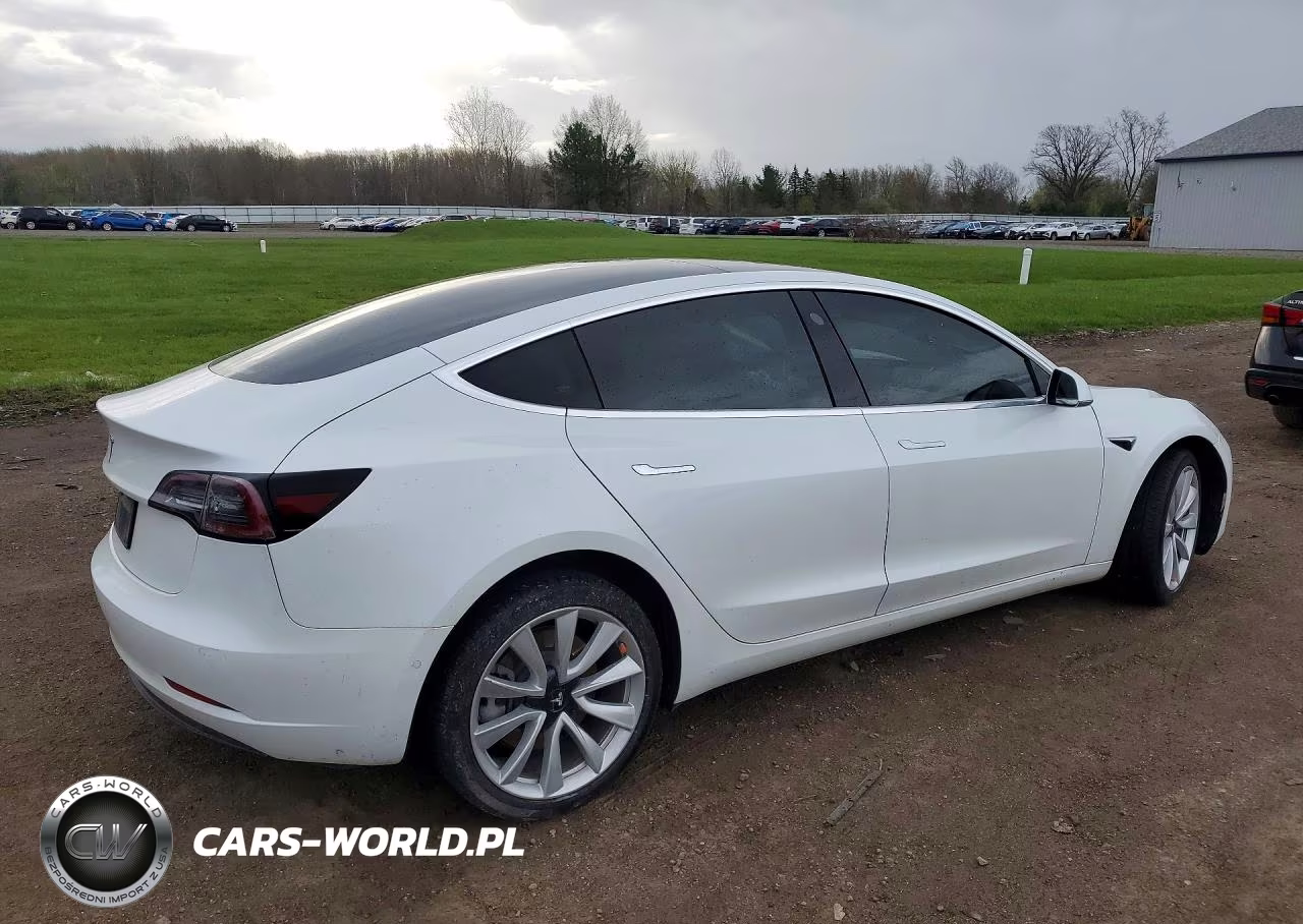 2020 Tesla Model 3 VIN:5YJ3E1EA3LF793080 - 3