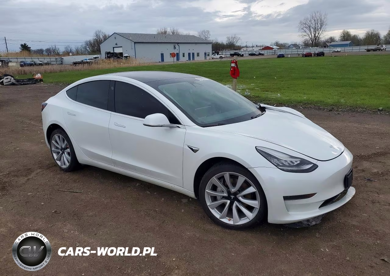 2020 Tesla Model 3 VIN:5YJ3E1EA3LF793080 - 4