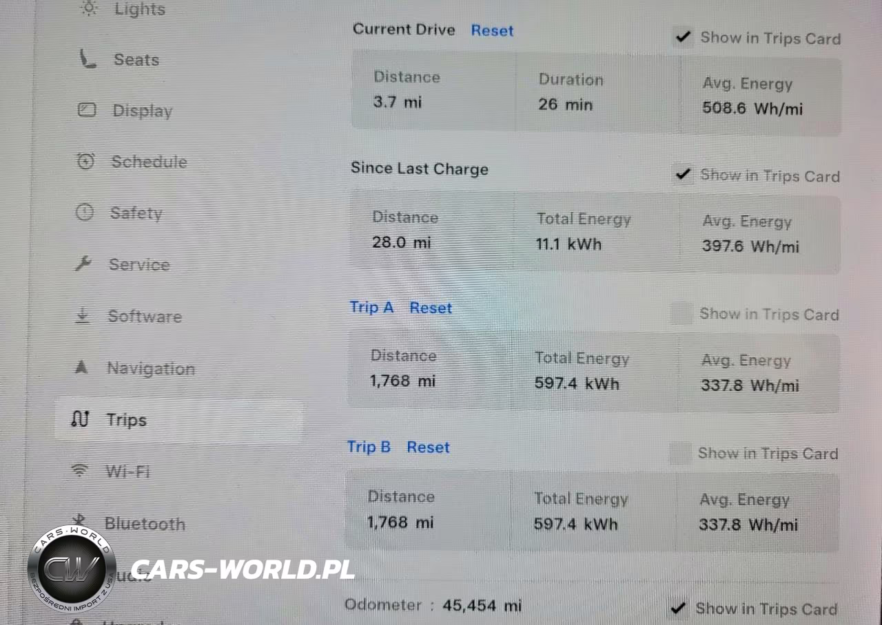 2020 Tesla Model 3 VIN:5YJ3E1EA3LF793080 - 9