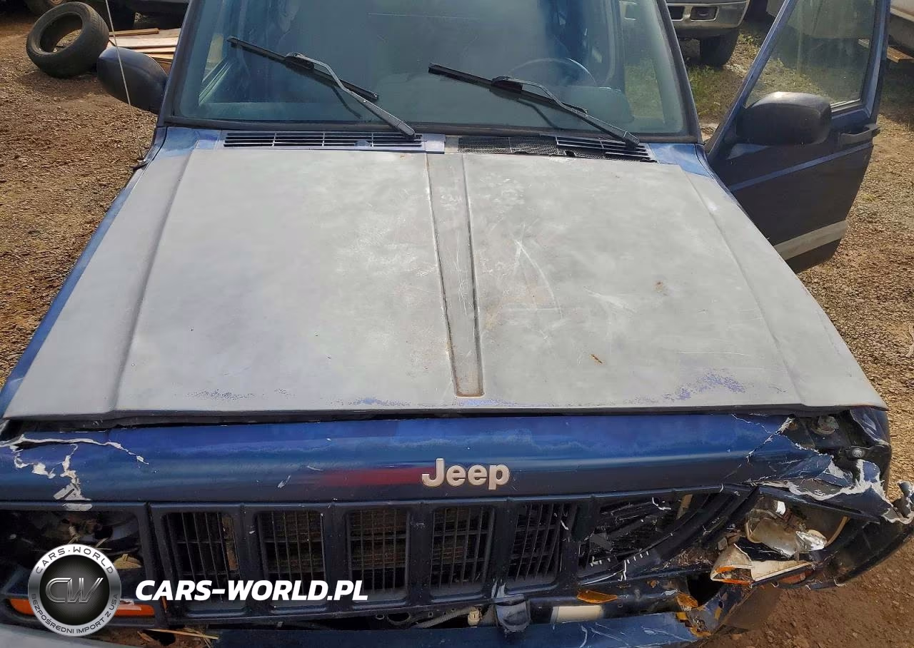 2001 Jeep Cherokee Sport VIN:1J4FF48S21L610434 - 12