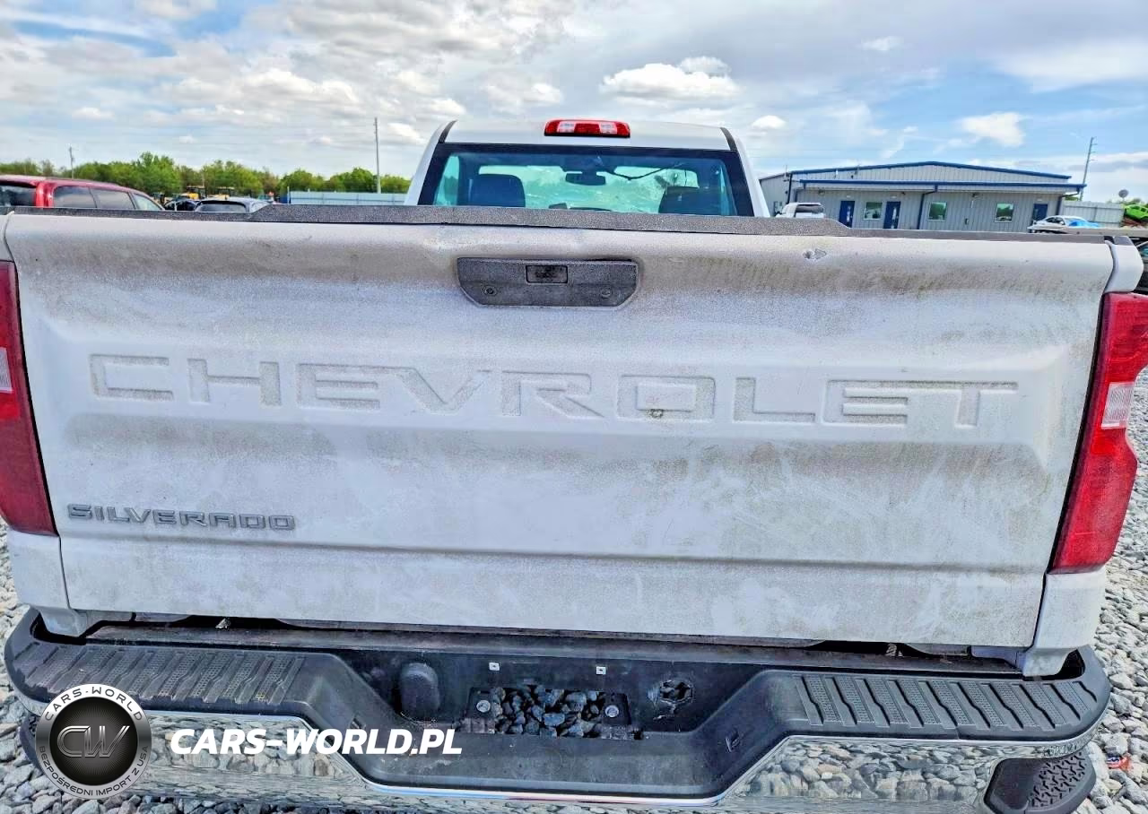 2020 Chevrolet Silverado C1500 VIN:3GCNWAEFXLG442730 - 10