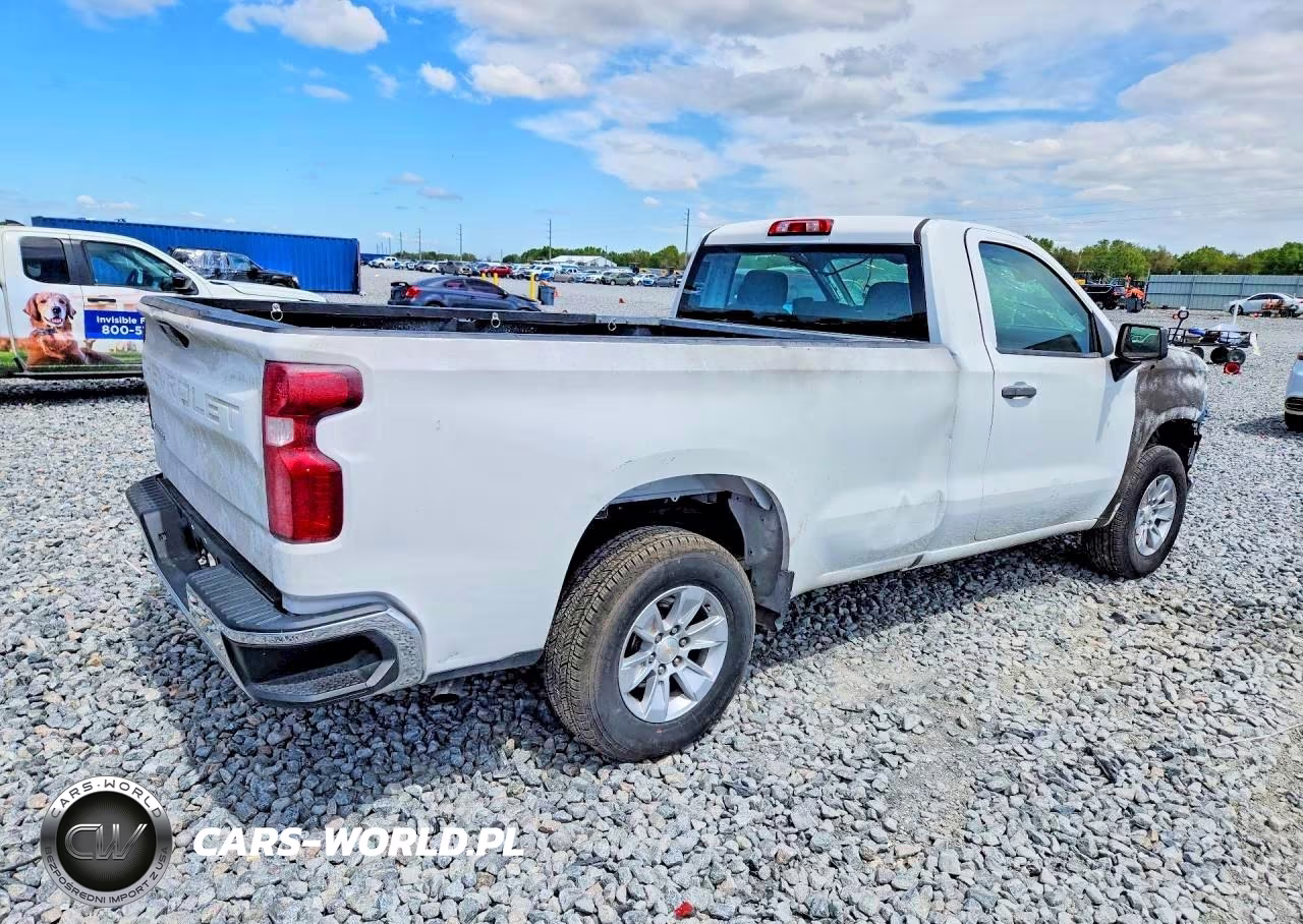 2020 Chevrolet Silverado C1500 VIN:3GCNWAEFXLG442730 - 3
