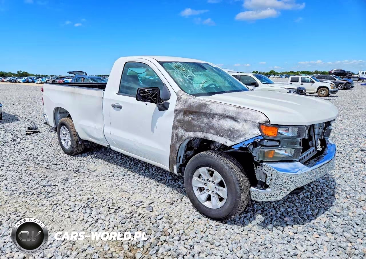 2020 Chevrolet Silverado C1500 VIN:3GCNWAEFXLG442730 - 4