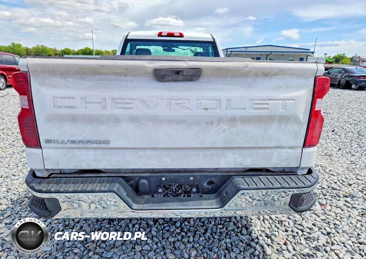 2020 Chevrolet Silverado C1500 VIN:3GCNWAEFXLG442730 - 6