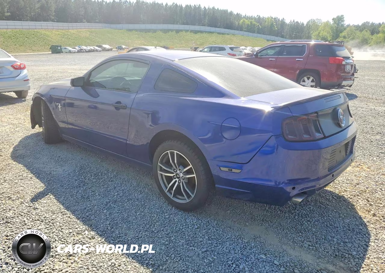 2014 Ford Mustang VIN:1ZVBP8AM6E5263928 - 2