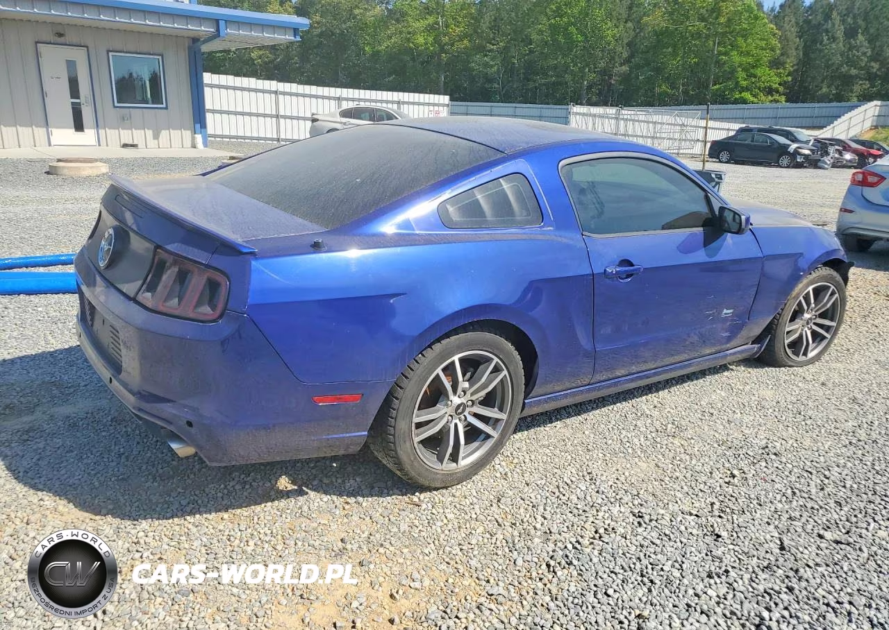 2014 Ford Mustang VIN:1ZVBP8AM6E5263928 - 3