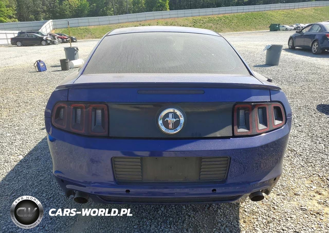 2014 Ford Mustang VIN:1ZVBP8AM6E5263928 - 6
