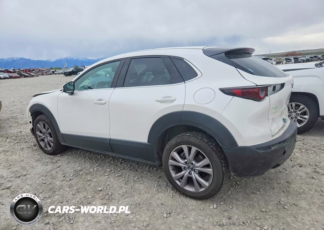 2020 Mazda Cx-30 Select VIN:3MVDMBCL7LM119154 - 2