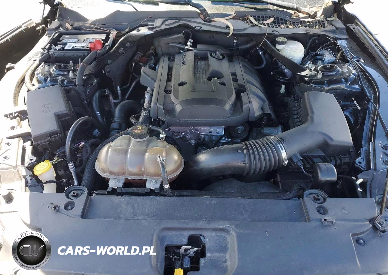 FORD MUSTANG VIN:1FA6P8TH7F5360101 - 11
